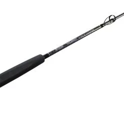 Accurate BV-80M Valiant Boat Rod