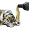 Accurate FX2-500NLGS Boss Fury 2-Speed L/H Reel -Saltwater Reels promo accurate fx2 500nlgs boss fury 2 speed l h reel 50458.1651148522