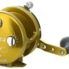 Avet Reels Avet HXJ 5/2 MC Two Speed Lever Drag Casting Reel Gold -Saltwater Reels promo avet hxj 52 mc two speed lever drag casting reel ave 0119 1 96467.1650775726.386.513