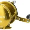 Avet Reels Avet HXJ 5/2 Two-Speed Lever Drag Casting Reel Gold -Saltwater Reels promo avet hxj 52 two speed lever drag casting reel ave 0095 1 96314.1650775742.386.513