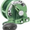 Avet Reels Avet HXJ 5/2 Two-Speed Lever Drag Casting Reel Green 2 Avet Reels Avet HXJ 5/2 Two-Speed Lever Drag Casting Reel Green -Saltwater Reels promo avet hxj 52 two speed lever drag casting reel ave 0095 5 25701.1650775743.386.513