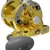 Avet Reels Avet HXW 5/2 Two-Speed Lever Drag Casting Reels Gold -Saltwater Reels promo avet hxw 52 two speed lever drag casting reels ave 0096 1 76868.1650775772.386.513
