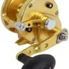 Avet Reels Avet JX 4.6 G2 1 Speed Reel - Gold (No Glide Plate) 2 Avet Reels Avet JX 4.6 G2 1 Speed Reel - Gold (No Glide Plate) -Saltwater Reels promo avet jx 4 6 g2 rh gd ngp reel 02721.1670273725