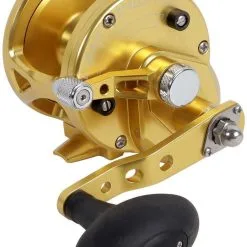 Avet Reels Avet JX 4.6 G2 1 Speed Reel - Gold (No Glide Plate)