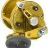 Avet Reels Avet JX 4.6 MC Single Speed Lever Drag Casting Reel Gold