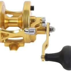 Avet Reels Avet JX 6.0 G2 1 Speed Reel - Gold (No Glide Plate) -Saltwater Reels promo avet jx 6 0 g2 rh gd ngp reel 27109.1670274062