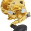 Avet Reels Avet JX 6.0 G2 1 Speed Reel - Gold (No Glide Plate) 2 Avet Reels Avet JX 6.0 G2 1 Speed Reel - Gold (No Glide Plate) -Saltwater Reels promo avet jx 6 0 g2 rh gd ngp reel 91437.1670274062