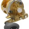 Avet Reels Avet JX G2 6/3 2-Speed Reel Gold -Saltwater Reels promo avet jx g2 6 3 2 speed reel ave 0538 1 30956.1670274327.386.513