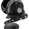Avet Reels Avet JX G2 6/3 MC 2-Speed Reel Black 1 Avet Reels Avet JX G2 6/3 MC 2-Speed Reel Black -Saltwater Reels promo avet jx g2 6 3 mc 2 speed reel ave 0539 4 63272.1670274340.386.513