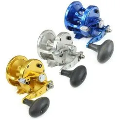 Avet Reels Avet JX Single Speed Lever Drag Casting Reels