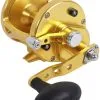 Avet Reels Avet LX 4.6 G2 1 Speed Reel - Gold (No Glide Plate)