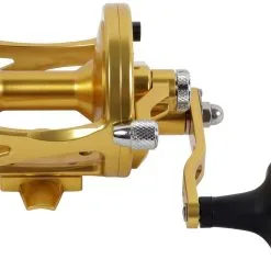 Avet Reels Avet LX 4.6 G2 1 Speed Reel - Gold (No Glide Plate) -Saltwater Reels promo avet lx 4 6 g2 rh gd ngp reel 92219.1651417650