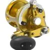 Avet Reels Avet LX G2 6.0 MC Single Speed Reel Gold