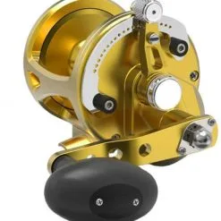 Avet Reels Avet LX G2 6.0 MC Single Speed Reel Gold