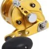 Avet Reels Avet MXJ 5.8 G2 MC 1 Speed Reel - Gold (No Glide Plate) -Saltwater Reels promo avet mxj 5 8 g2 mc rh gd ngp reel 83132.1651417668.386.513