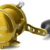 Avet Reels Avet MXJ 6/4 2-Speed Lever Drag Casting Reels Gold 2 Avet Reels Avet MXJ 6/4 2-Speed Lever Drag Casting Reels Gold -Saltwater Reels promo avet mxj 64 2 speed lever drag casting reels ave 0015 3 03667.1650991820