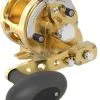 Avet Reels Avet MXJ G2 6/4 MC 2-Speed Reel Gold -Saltwater Reels promo avet mxj g2 6 4 mc 2 speed reel ave 0529 1 10901.1650991874.386.513