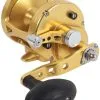 Avet Reels Avet MXL 5.8 G2 1 Speed Reel - Gold (No Glide Plate)