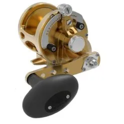 Avet Reels Avet MXL G2 5.8 MC Single Speed Reel Gold