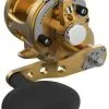 Avet Reels Avet SX G2 5.3 Single Speed Reel Gold