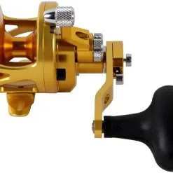 Avet Reels Avet SXJ 6/4 G2 NGP 2-Speed Reel - Gold (No Glide Plate) -Saltwater Reels promo avet sxj 6 4 g2 rh gd ngp reel 63540.1675796443