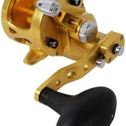 Avet Reels Avet SXJ 6/4 G2 NGP 2-Speed Reel - Gold (No Glide Plate)