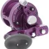 Avet Reels Avet SXJ 6/4 2-Speed Lever Drag Casting Reel - Purple -Saltwater Reels promo avet sxj 64 2 speed lever drag casting reel purple 03858.1650992200
