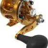 Avet Reels Avet SXJ G2 5.3 MC Single Speed Reel Gold