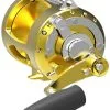 Avet Reels Avet T-RX 50W 2-Speed Lever Drag Big Game Reels Gold -Saltwater Reels promo avet tr x 50w 2 speed lever drag big game reels ave 0022 3 96068.1650992317.386.513