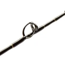Blackfin Fin #130 Circle Hook Rod -Saltwater Reels promo blackfin fin no 130 circle hook conventional rod 51819.1651075080