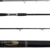 Blackfin Fin #18 Fin Series Spinning Rod 2 Blackfin Fin #18 Fin Series Spinning Rod -Saltwater Reels promo blackfin fin no 18 fin series spinning rod 41262.1651075108