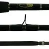 Blackfin Saltwater Casting Fishing Rods