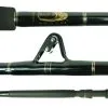 Blackfin Saltwater Strip Tip Fishing Rods