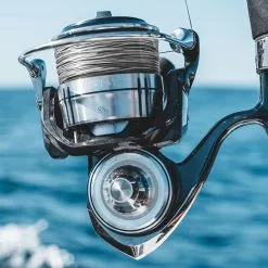Daiwa Certate SW Spinning Reels 12 Daiwa Certate SW Spinning Reels -Saltwater Reels promo daiwa certate sw spinning reels 63585.1651409087