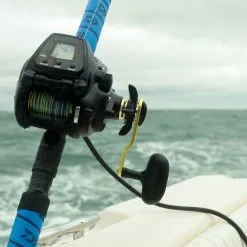 Daiwa Tanacom 500 Electric Reel 11 Daiwa Tanacom 500 Electric Reel -Saltwater Reels promo daiwa dendoh power assist reels tanacom 500 35832.1651076753