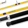 Daiwa FT Boat Rods 1 Daiwa FT Boat Rods -Saltwater Reels promo daiwa ft boat rods 98470.1651075613.386.513