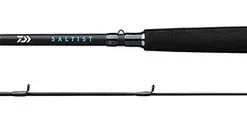 Daiwa Saltist Inshore Casting Rods -Saltwater Reels promo daiwa saltist inshore casting rods 50258.1650807935