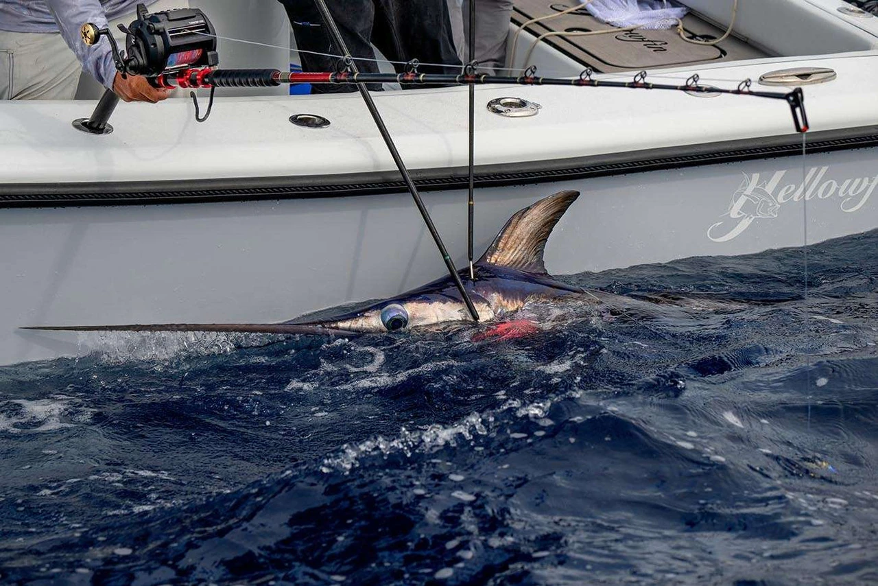 Daiwa Tanacom 1200 Power Assist Electric Reel 8 Daiwa Tanacom 1200 Power Assist Electric Reel - Image 6