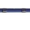 Fenwick Eagle Salmon/Steelhead Spinning Rods 2 Fenwick Eagle Salmon/Steelhead Spinning Rods -Saltwater Reels promo fenwick eagle salmon steelhead spinning rods 90987.1651356439