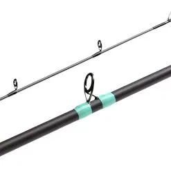 G.LOOMIS G Loomis GCX Inshore Casting Rods -Saltwater Reels promo g loomis gcx inshore casting rods 22470.1651450571