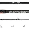 Jigging World Black Hawk Casting Rods 2 Jigging World Black Hawk Casting Rods -Saltwater Reels promo jigging world black hawk casting rods 56849.1651245810