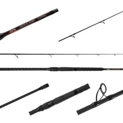 Jigging World Nexus Surf Spinning Rods