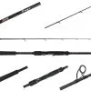 Jigging World Onyx Inshore Rods