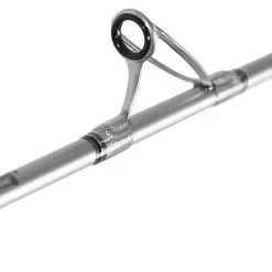 Jigging World Silver Bullet Jigging Rods 23 Jigging World Silver Bullet Jigging Rods -Saltwater Reels promo jigging world silver bullet jigging rods 77725.1680784564