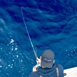 Lamiglas Bluewater Series Rods -Saltwater Reels promo lamiglas bluewater series rods 05107.1651112013