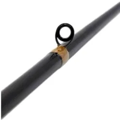 Leviathan Rods Leviathan Trinity Casting Rods -Saltwater Reels promo leviathan trinity casting rod 24191.1670598955