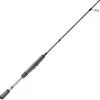 Lew's Lews Elite Series Spinning Rods 2 Lew's Lews Elite Series Spinning Rods -Saltwater Reels promo lews elite series spinning rods 39060.1676038844