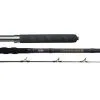 Penn Carnage II Boat Rods