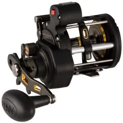 Penn Fathom II Level Wind Reels -Saltwater Reels promo penn fathom ii level wind reels 81129.1651033537