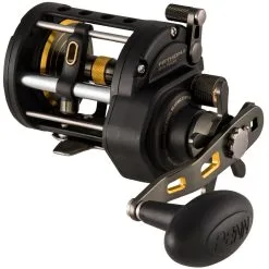 Penn Fathom II Level Wind Reels -Saltwater Reels promo penn fathom ii level wind reels 84751.1651033537
